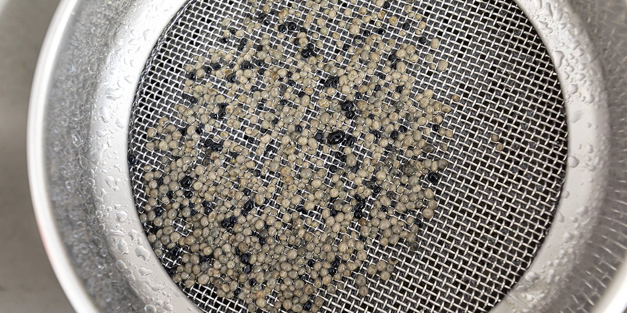 NBCO SOLUTIONS • Acteur du traitement biologique des eaux usées industrielles 